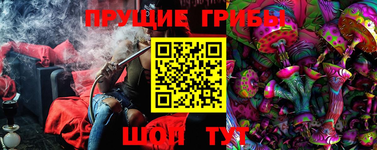 Псилоцибиновые грибы GOLDEN TEACHER Корсаков