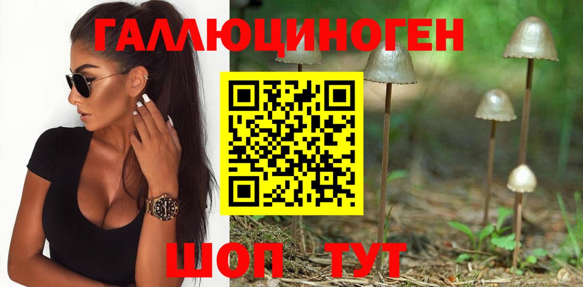 Корсаков  закладки  Вход с VPN  Псилоцибиновые грибы Psilocybe  Псилоцибиновые грибы прущие грибы 